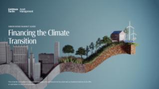 green bond market guide
