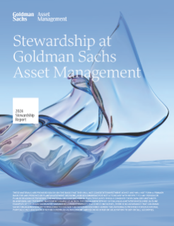 stewardship report for 2024