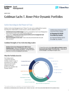 goldman sachs t. rowe price dynamic portfolios