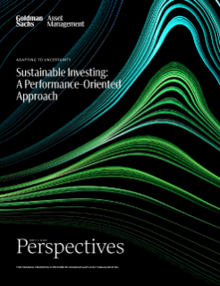 sustainable investing: a performance-oriented approach