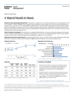 municipal fixed income monthly