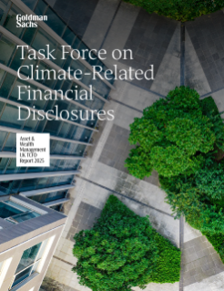 task force on climate-related financial disclosures 2025 report