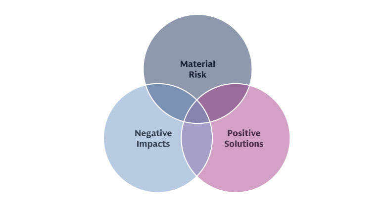 reasons for investors to consider biodiversity in their investment process