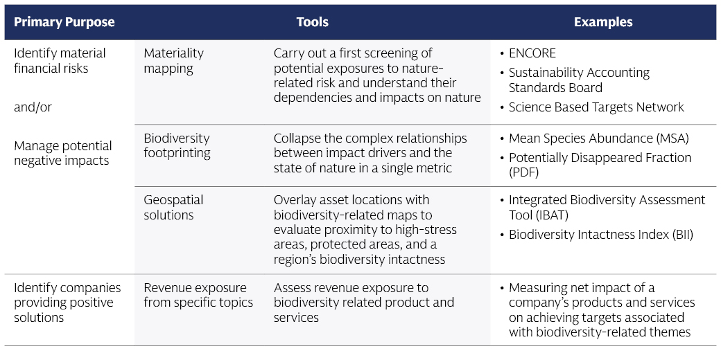 Emerging measurement approaches