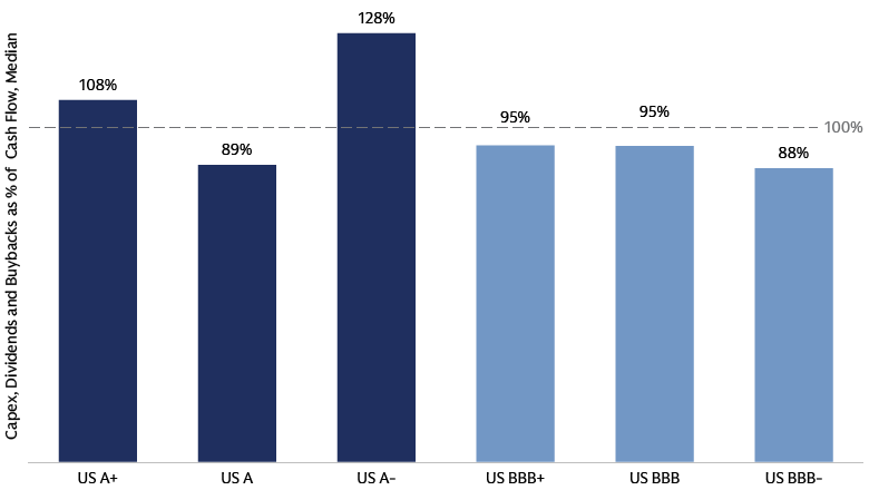 Prudent financial management of US BBB-rated companies Prudent financial management of US BBB-rated companies