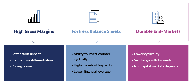 Visual representation detailing the keys to continued large cap outperformance potential, focusing on three core pillars: high gross margins, fortress balance sheets, and durable end-markets
