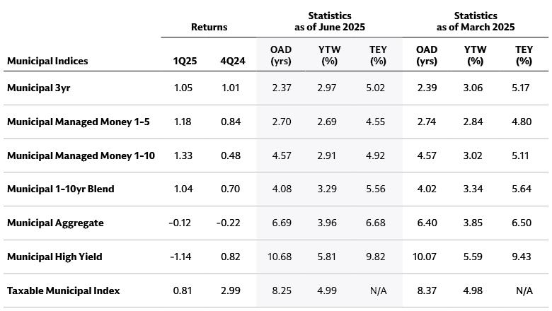 Taxable municipal market: Positive returns driven by income