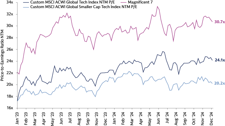 Smaller tech companies are attractively priced 