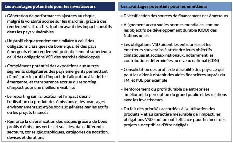 Les obligations VSD des marchés émergents offrent plusieurs avantages aux investisseurs et aux émetteurs