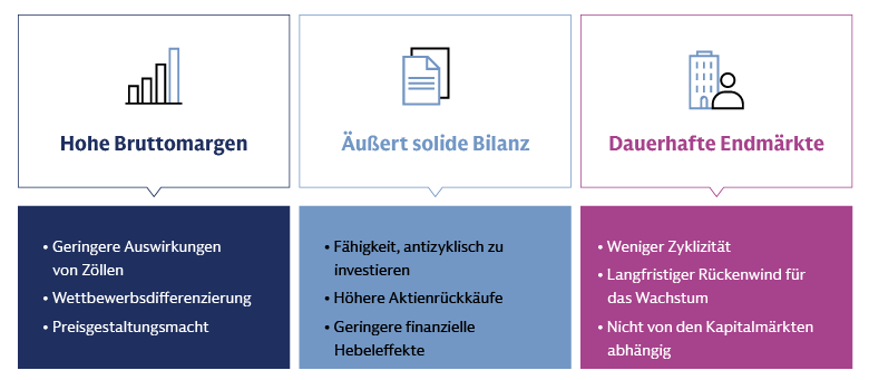 Visuelle Darstellung der Schlüsselfaktoren für weiteres Outperformance-Potenzial bei Large-Caps, mit Fokus auf drei Kernsäulen: hohe Bruttomargen, äußerst solide Bilanzen und nachhaltige Endmärkte