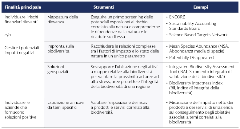 Approcci di misurazione emergenti