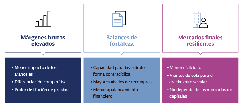 Representación visual que detalla las claves del potencial de rendimiento superior continuo de la gran capitalización, centrándose en tres pilares principales: márgenes brutos elevados, balances sólidos y mercados finales resilientes