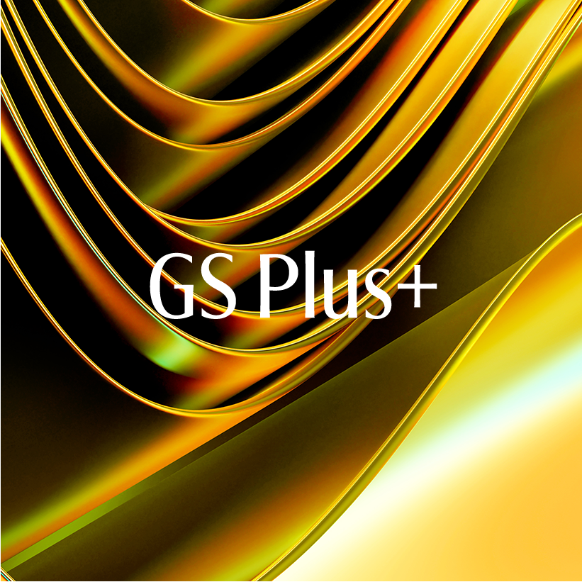 GS Plus ゴールド