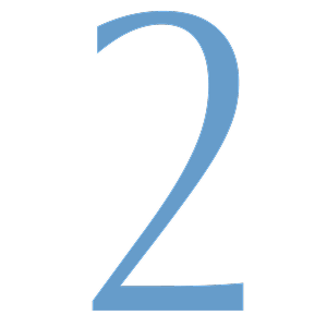 2_icon