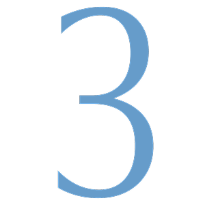 3_icon