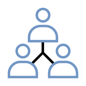 Organization and Team