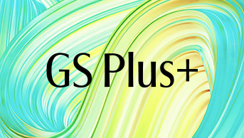 GS Plus 全世界株式（オール・カントリー） | Class Not Applicable